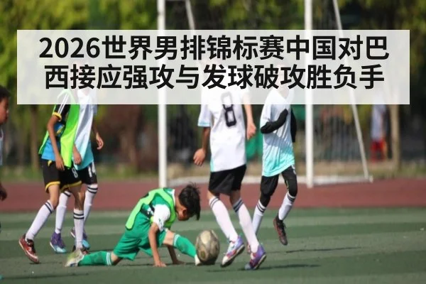 2026世界男排锦标赛中国对巴西接应强攻与发球破攻胜负手
